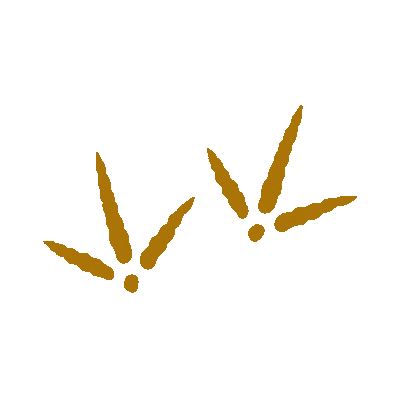 Website Preloader